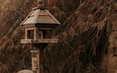 Best Squirrel Baffle for a Wooden Post