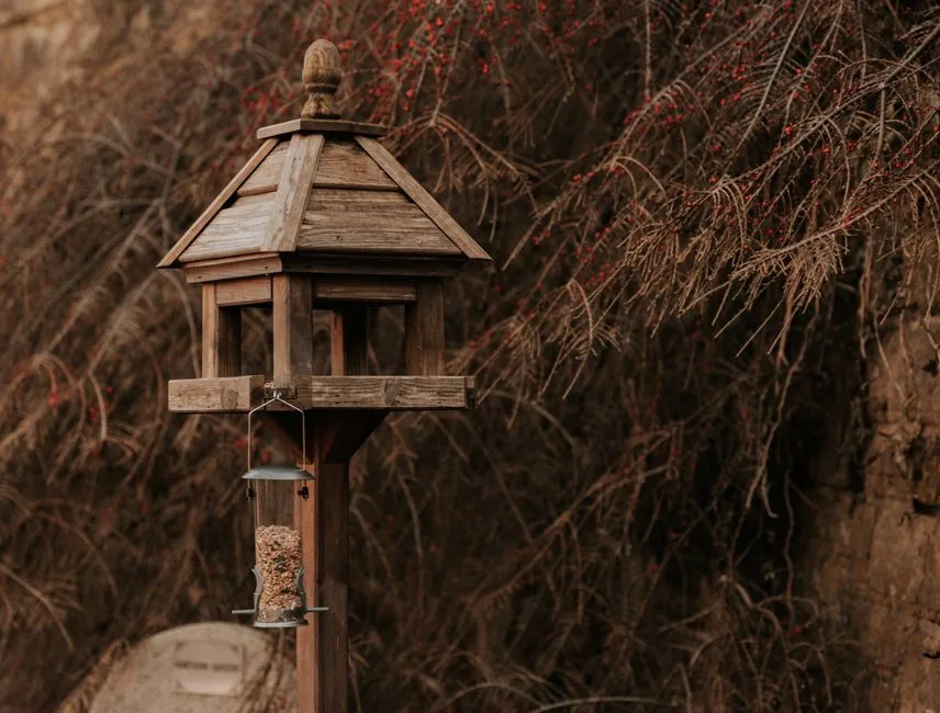 Wooden post-mounted bird feeder with a hanging seed bell against bare winter branches
